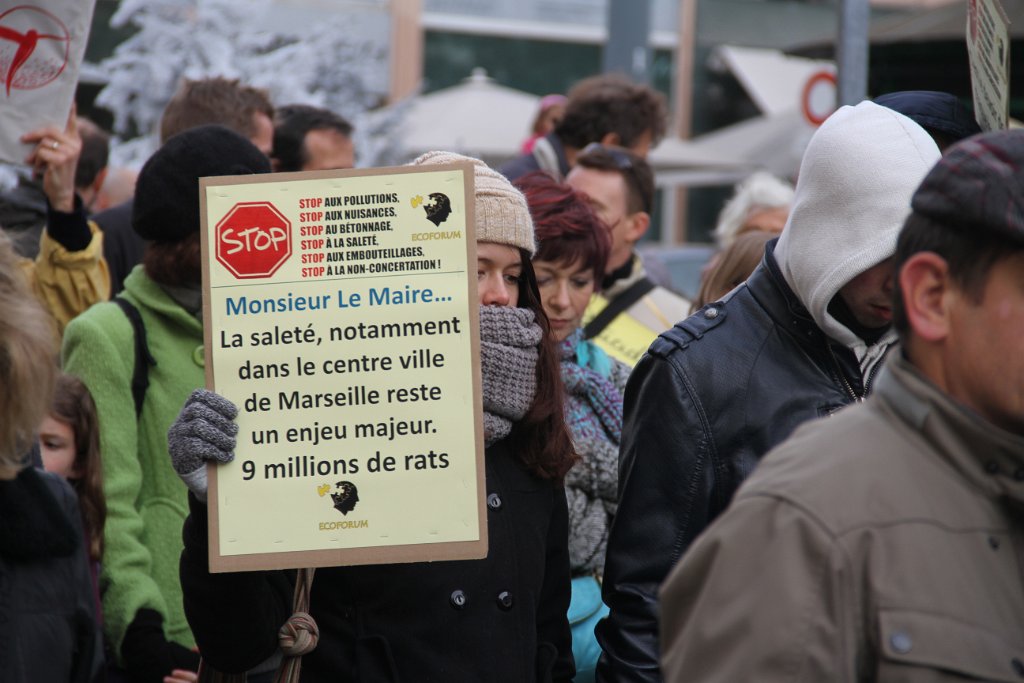 Ph131123-Manif-Ecoforum (218)